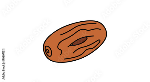 Close up illustration of a brown date fruit on white background