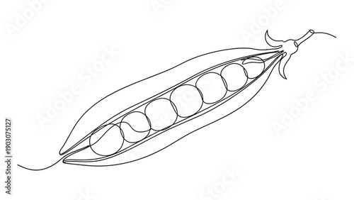 Minimalist continuous line drawing of an open pea pod showing several round peas inside against a clean white background.