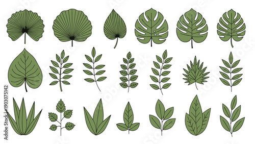Set of diverse green leaf illustrations in various botanical shapes and sizes organized in a tidy grid layout.