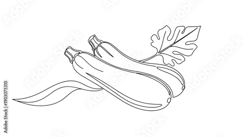 Clean and minimalist black and white line drawing of two zucchinis with a large leaf and a curly vine on a white background.