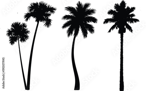 Collection of three distinct black silhouette palm trees against a stark white background showcasing varied heights and crown shapes