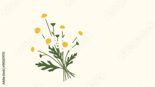 Simple bouquet of wild chamomile or daisies with green leaves on a light yellow background for nature and wellness concept.