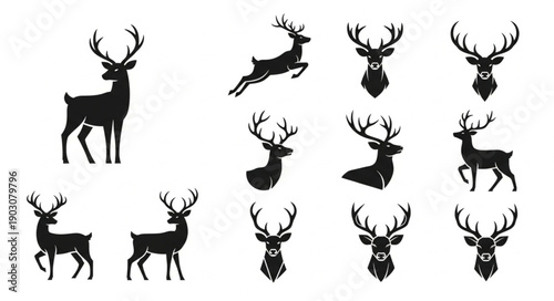 Collection of Deer Silhouettes and Head Illustrations.