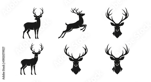Collection of Deer Silhouettes and Heads for Design.