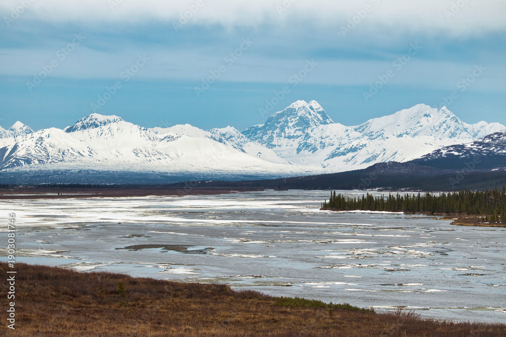 Fototapeta premium Melting ice and snow on the Denali Highway