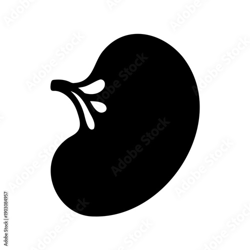 Silhouette of a person playing a grand piano in profile Vector, illustration