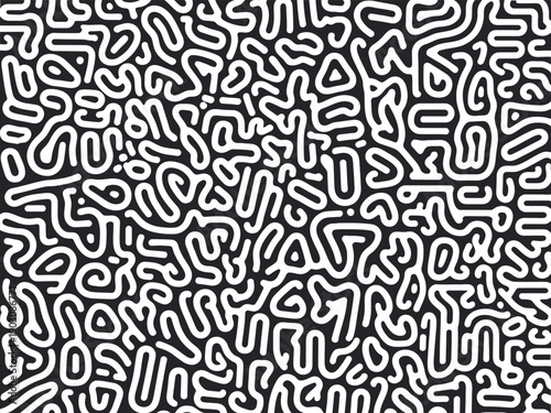 Abstract Black and White Organic Line Pattern Background