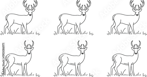Deer line art illustration set, stag wildlife contour drawings, forest animal outline collection, minimalist nature fauna, elegant antler mammal design