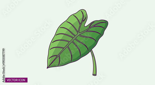 Vibrant green tropical leaf vector icon illustration botanical element with prominent veins