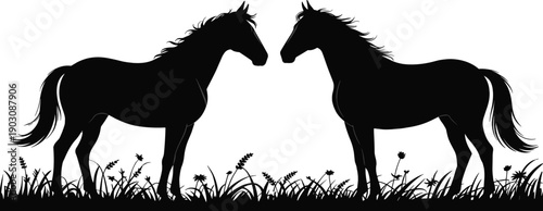 Horse silhouette illustration set, wild equine animals standing grass field, black contour wildlife design, nature mammal symbol decorative artwork