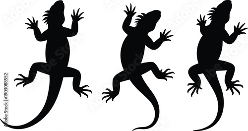 Lizard silhouette illustration set, reptile animal contour design, gecko wildlife symbol, tropical fauna icon, black nature decorative tattoo artwork