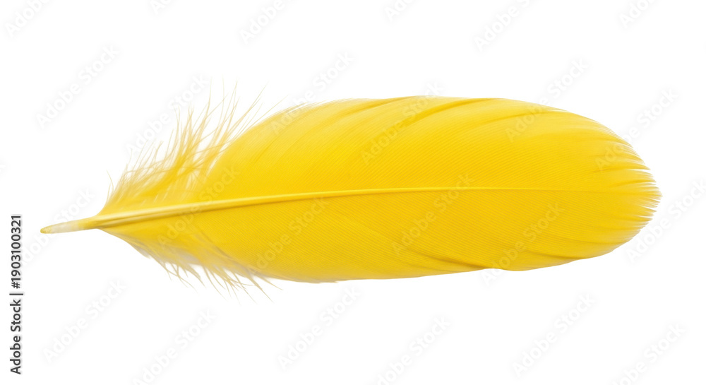 Εκτύπωση καμβά Bright yellow feather isolated PNG on transparent background, soft plumage eleme