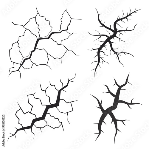 Four distinct types of tree branches showcasing unique growth patterns and structures. Vector