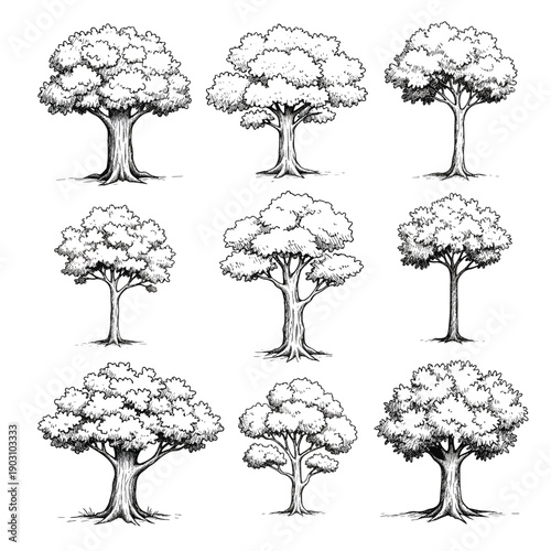 Vector illustration of a set of trees forming a simple natural forest landscape