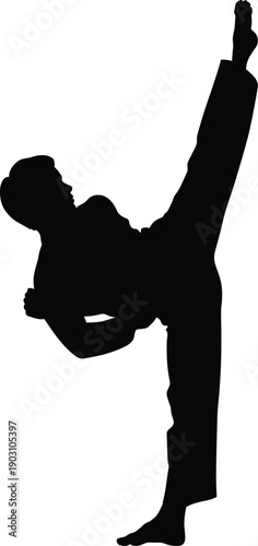 Martial artist performing high kick silhouette isolated on white background, powerful karate or taekwondo action pose symbolizing strength, discipline, fitness, and self defense