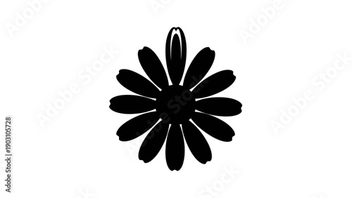 Black and white daisy flower silhouette isolated on white background