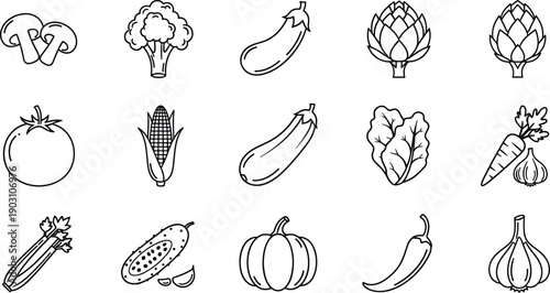 Hand drawn vegetable icons, vector food symbols, tomato, carrot, corn, broccoli, mushroom, pumpkin, garlic, pepper, eggplant, cucumber, fresh, organic, salad.