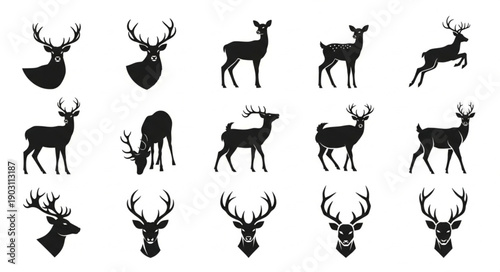 Collection of Deer Silhouettes in Various Poses and Headshots.