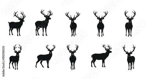 Collection of Deer Silhouettes with Antlers Standing in Different Poses.