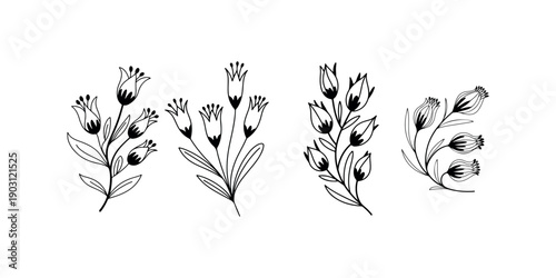 Hand drawn flower branch collection with various floral compositions and botanical elements for wedding invitation design or nature greeting card decoration