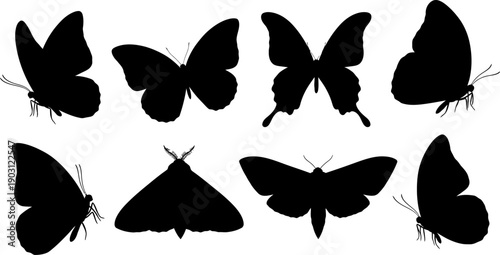 Collection of black butterfly silhouettes on white background