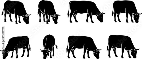 Eight black silhouettes of cows grazing in various positions