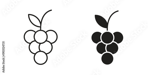 Grapes icons vector symbol with editable stroke and flat versions