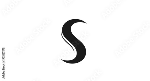Black Letter S Isolated on White 1.