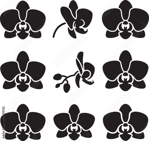 black orchid flower icons on white background