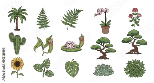 Collection of diverse botanical illustrations and plants.