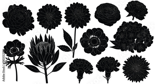 Set of Flower Silhouette Icons