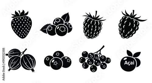 Foto Set of Berry Icons