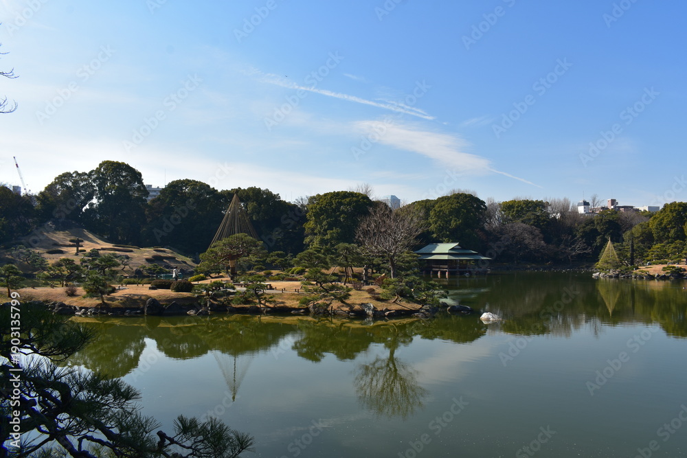 Fototapeta premium 清澄庭園