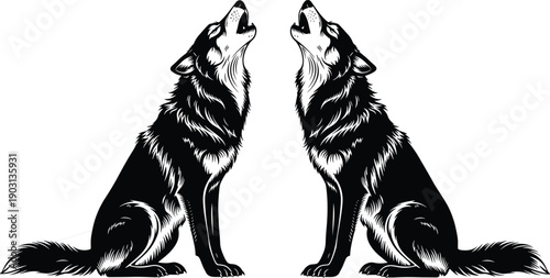 Black and white vector illustration of two howling wolves sitting and facing each other with detailed fur texture isolated on white background for wildlife design