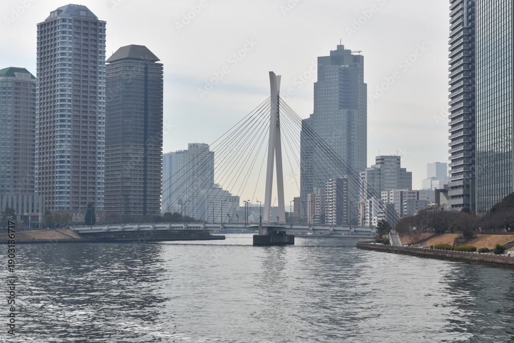 Obraz premium 隅田川の風景