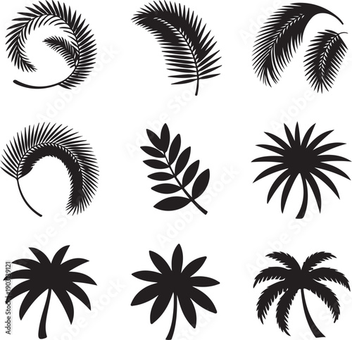 set of palm trees and leaves in black silhouette on white background