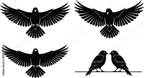 Black crow and raven silhouettes set featuring birds in flight with spread wings and a pair of songbirds perched together on a wire