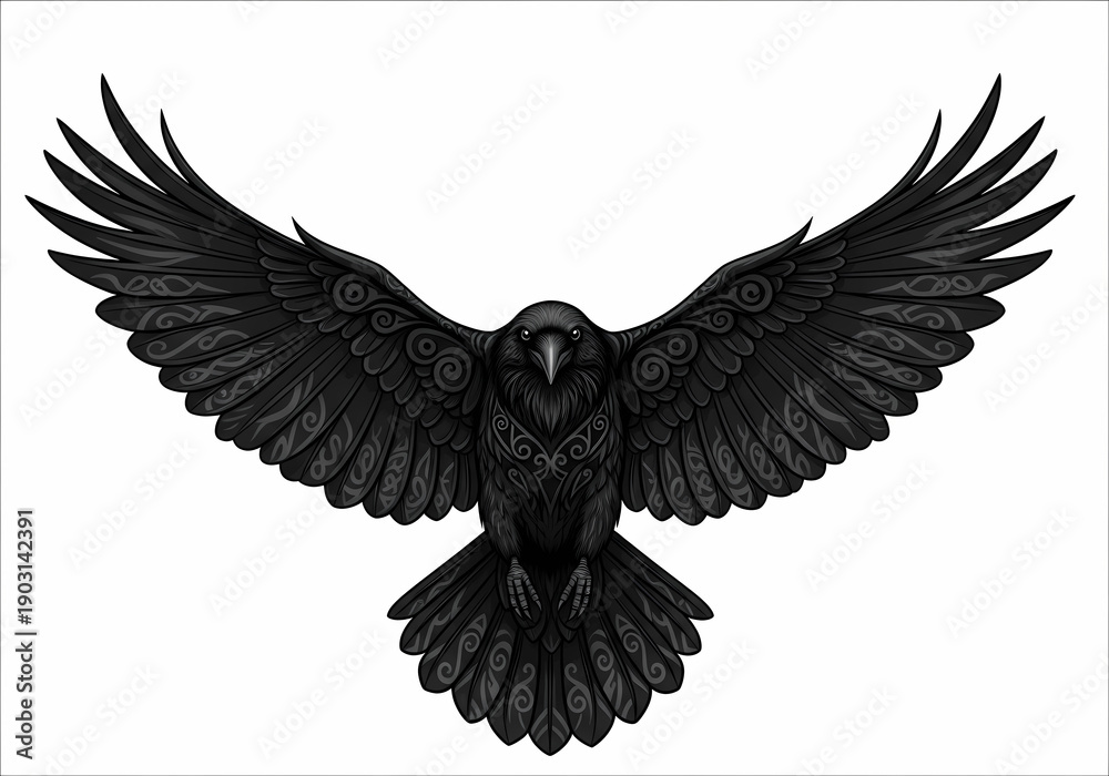Fototapeta premium 漆黒のカラス、翼を広げた優美な姿のイラスト
