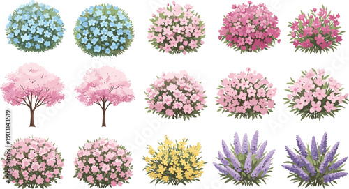 Colorful flowering plant and shrub collection illustration, garden bushes and blooming trees set, landscaping and botanical design elements isolated on white background