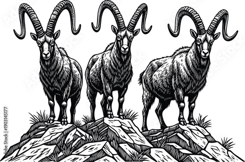 Black silhouettes of a domestic cat and a long eared rabbit sitting together for pet animal friendship veterinary care veterinary clinic and minimalist wildlife concepts,