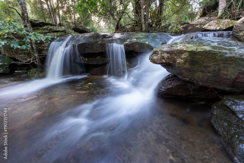 A beautiful landscape featuring a small natural waterfall cascading over mossy rocks into a flowing green forest stream during summer
