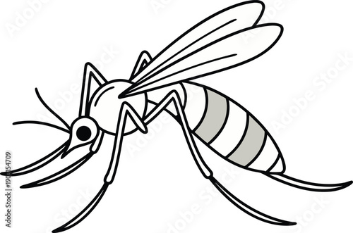 Mosquito insect illustration design. Mosquito flying insect illustration. Mosquito pest insect illustration. Mosquito disease carrier illustration. Mosquito harmful insect illustration. 