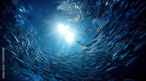 Light Rays Illuminate School of Fish Underwater in Blue Ocean