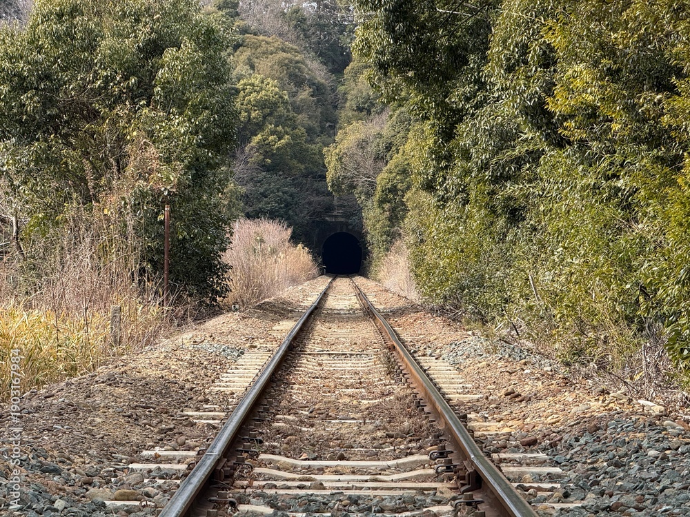 Fototapeta premium Railway tracks leading into tunnel surrounded by forest