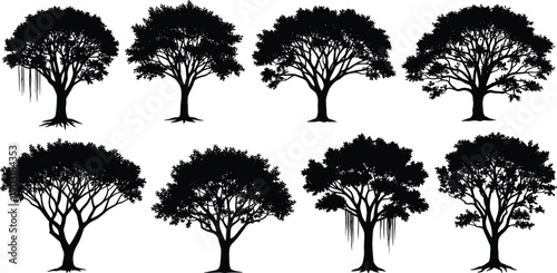 Black silhouettes of trees on white background tree silhouettes tree black trees
