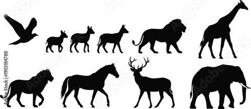 Black silhouettes of various wild and domesticated animals animal silhouettes wildlife