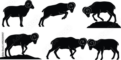 Black silhouettes of rams in various poses on white background bighorn sheep