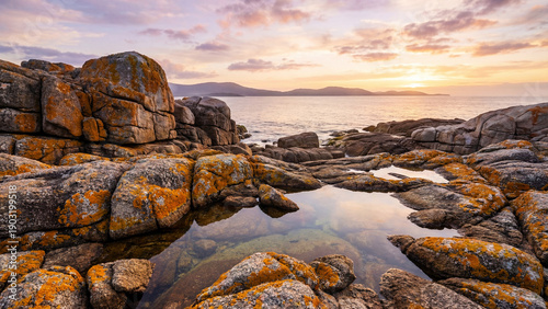 Konstfotografi Granite rocks on Bay of Fires beach at dusk, Tasmania, Australia.