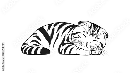 Striped tabby cat sleeping peacefully in a curled position with a happy expression in a detailed black and white illustration.
