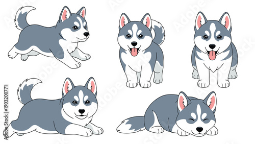 Set of five adorable husky puppies in different playful poses like running and sleeping on a clean white background.